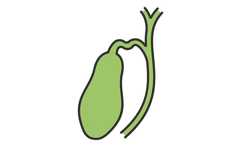 Gallbladder