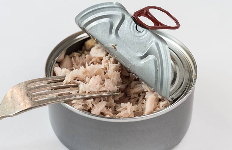 12 highprotein, lowcarb foods to help you lose weight Reader's