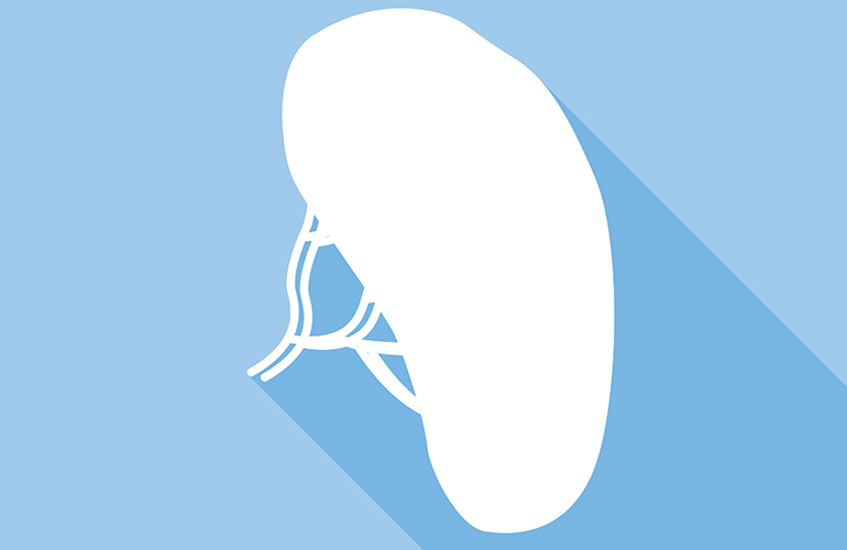 Spleen