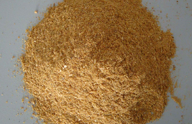 Corn gluten meal