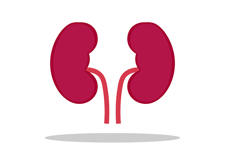 One kidney