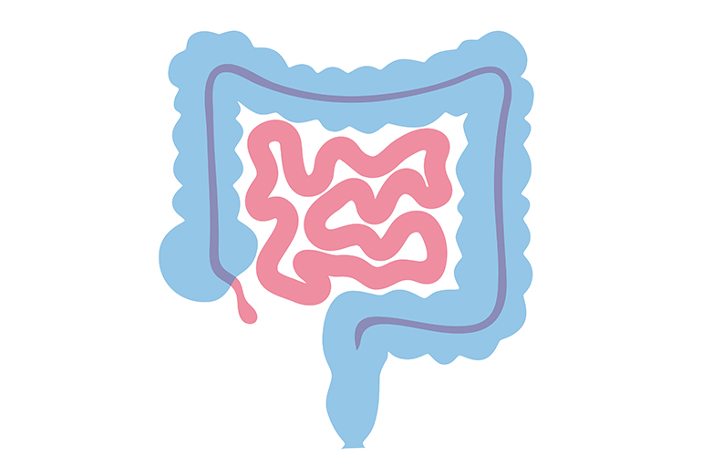 Appendix