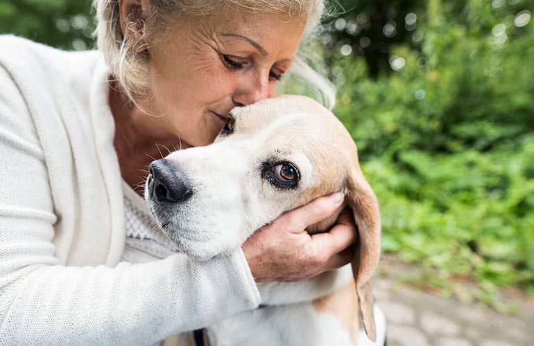 You correct your dog with kindness