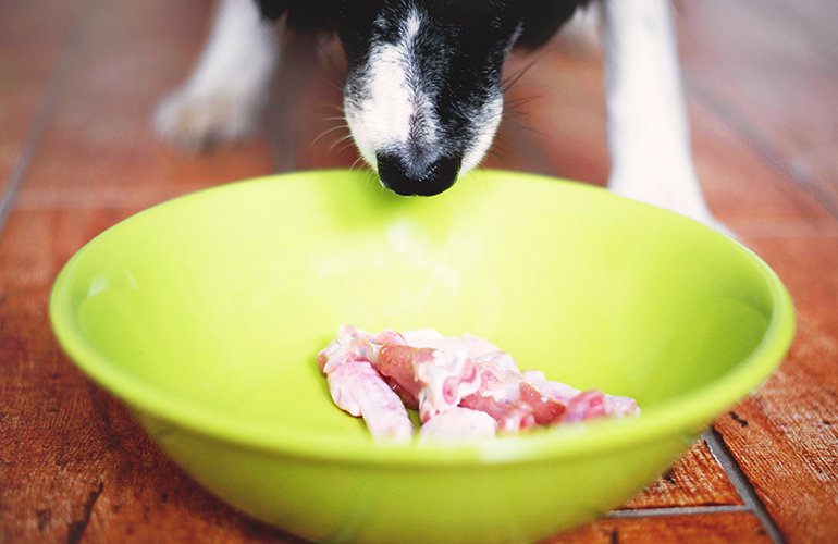 Don’t feed your pet a raw-food diet