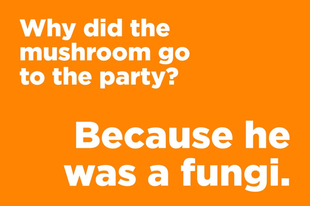 Scroll through the gallery and try not to laugh