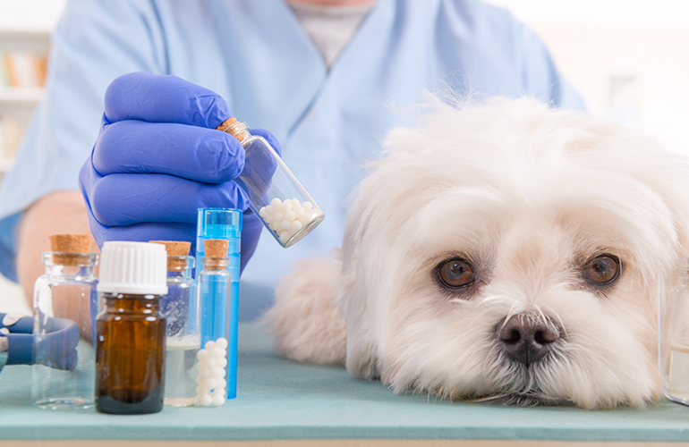 A lot of pet medications are available at human pharmacies for lower prices than we charge.