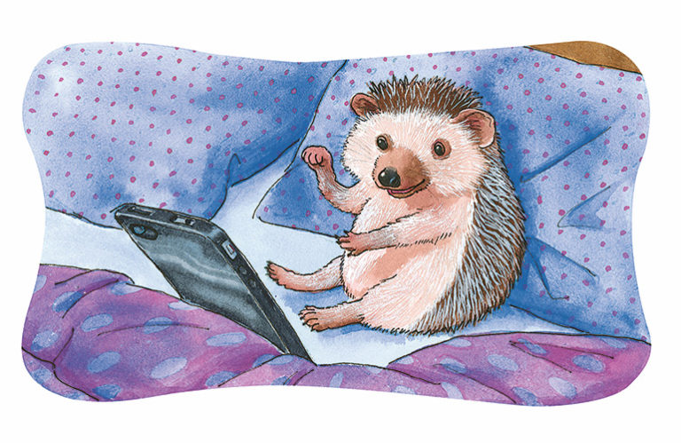 Hedgehugs and kisses