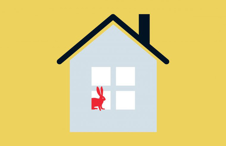 Animal house