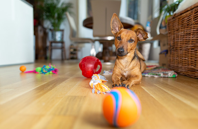 Small toys