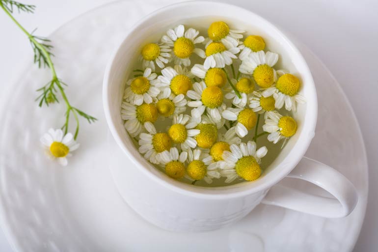 Apply a chamomile tea poultice