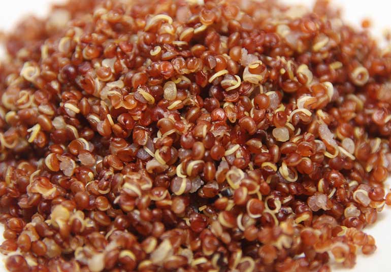 Whole grains