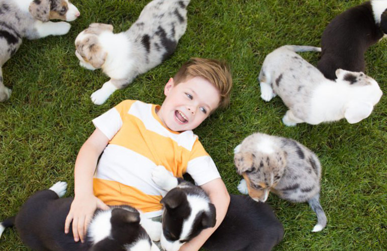 Best dogs for people with allergies