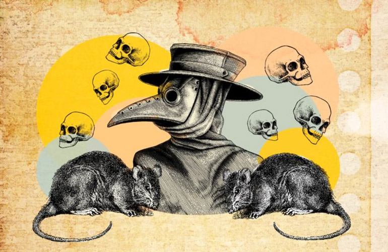 Rats didn’t actually spread the Black Death