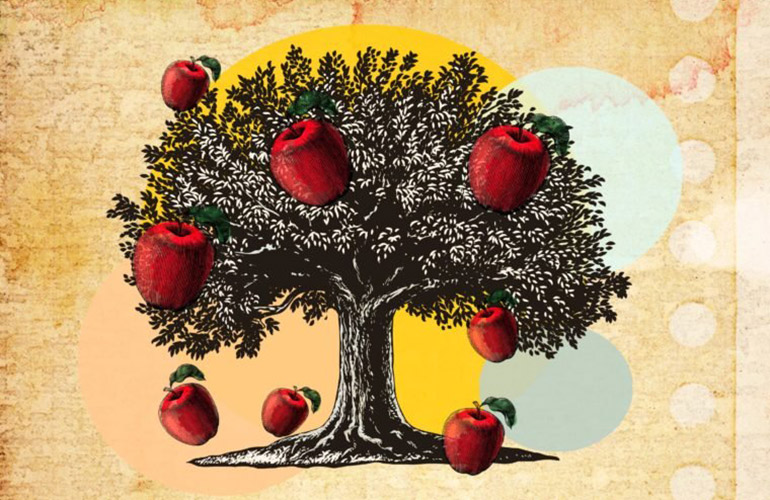 An apple never fell on Isaac Newton’s head