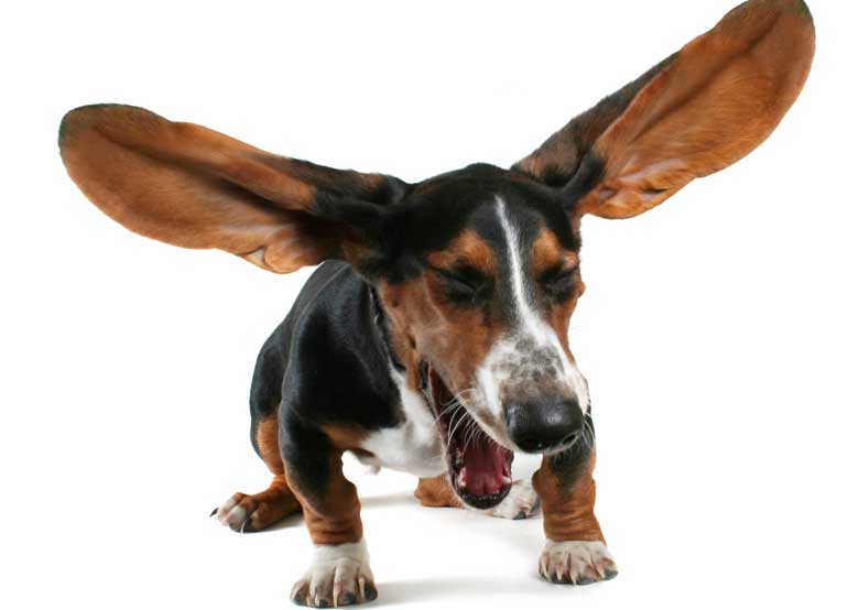 Sneezing
