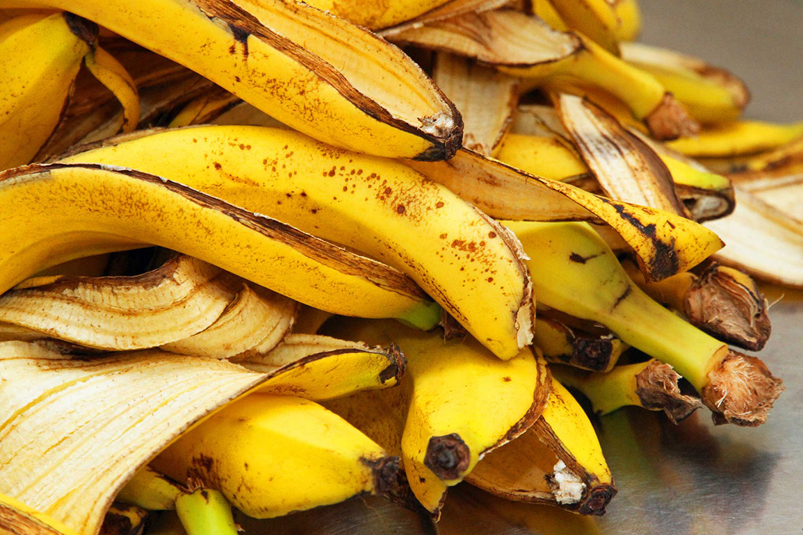 Add to compost pile