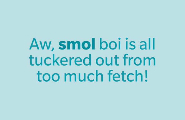 Smol