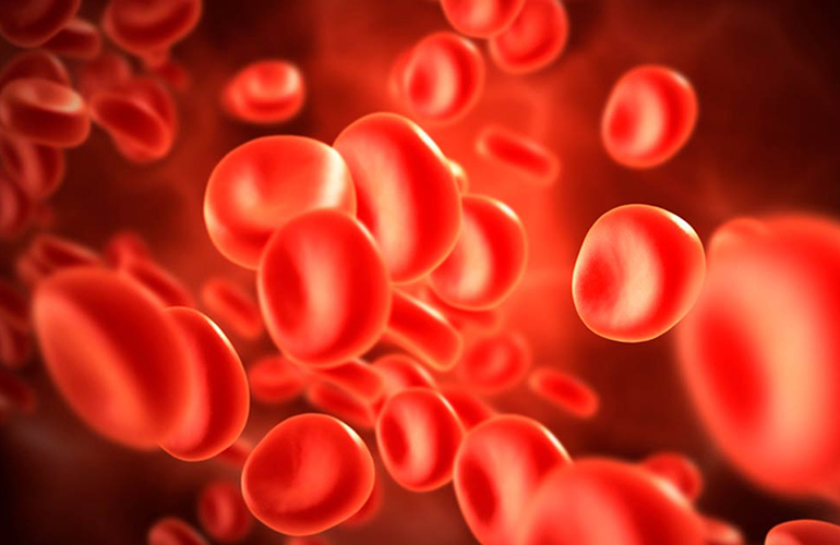Why you should know your blood type