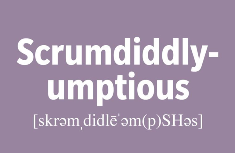 Scrumdiddlyumptious