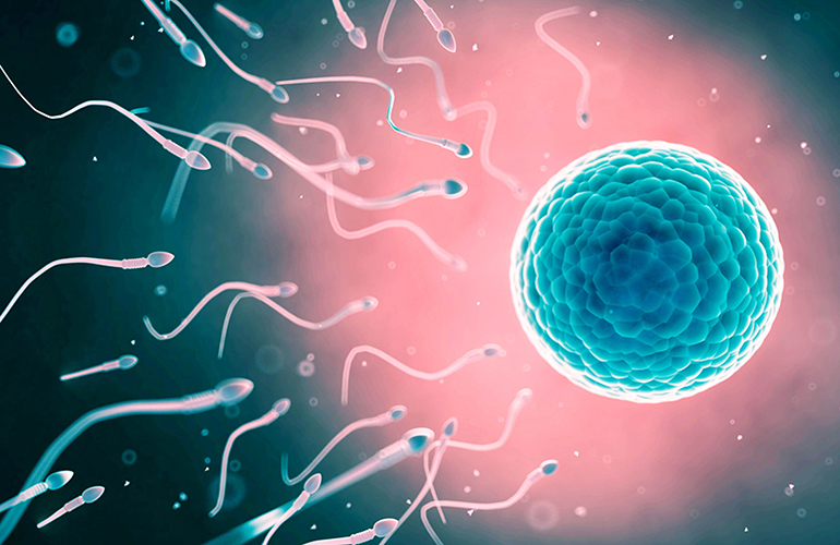 Fertility: Type O reduces it