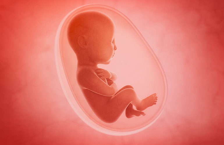 Pregnancy risks