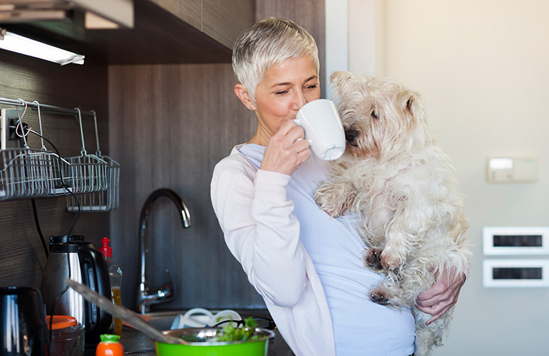 If you’re not sure what kind of dog you want, consider fostering