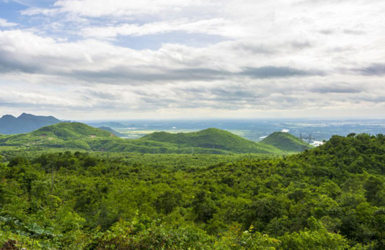 Northern Forest Complex, Myanmar