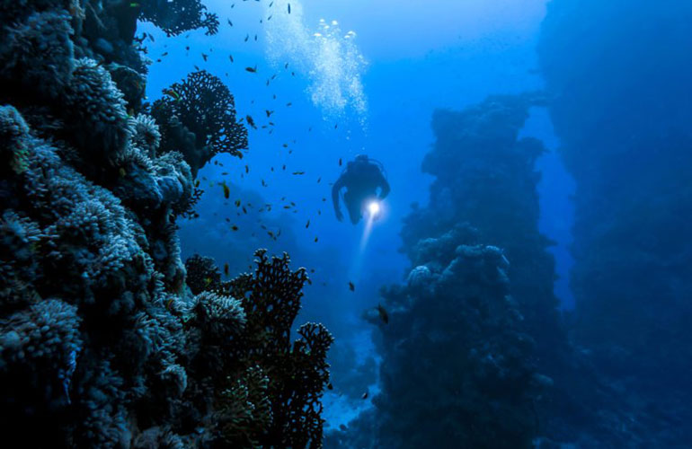 The Ocean Floor