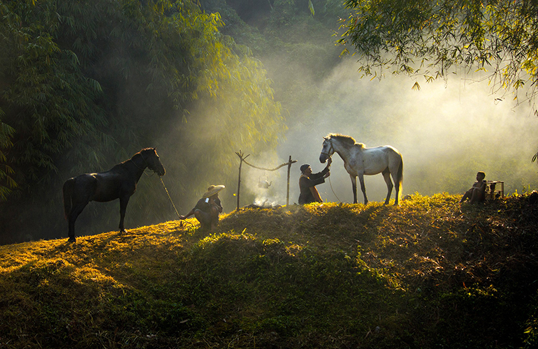 Nature’s spotlight