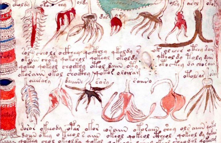 What does the Voynich Manuscript actually say?