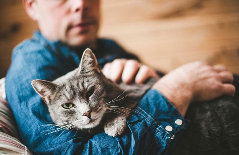 Many cats live life like ‘Seinfeld’ – that is, ‘no hugging, no learning’