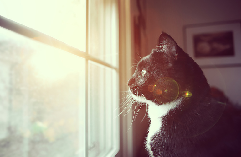 We’re early risers, so deal with it
