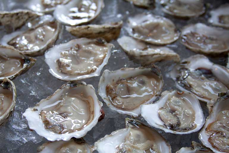 Raw oysters are still alive when you eat them