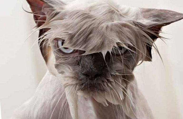 I’m perfectly capable of bathing myself, thanks