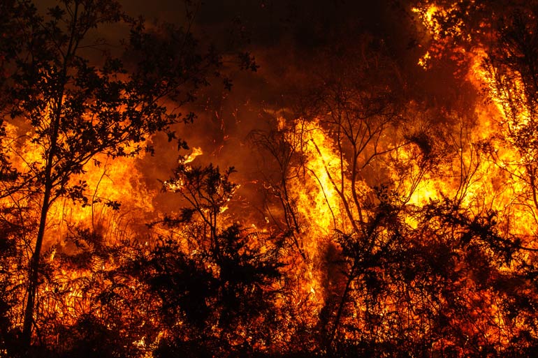 Latest bushfire reports
