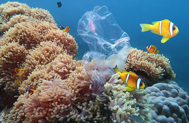 Mexico’s grassroots fight against plastic