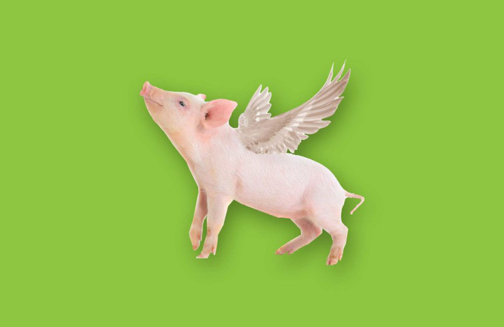 When pigs fly