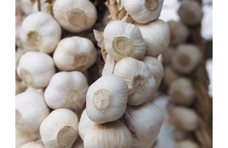 Garlic increases blood flow