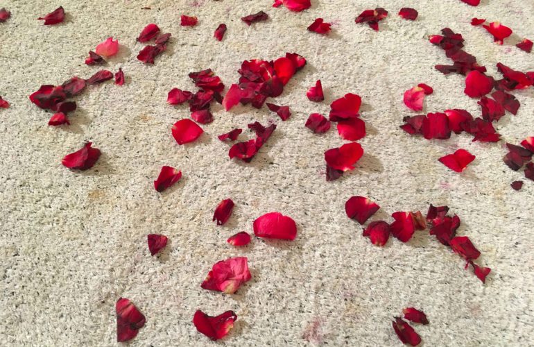 Deadly dose – the rose petal murder