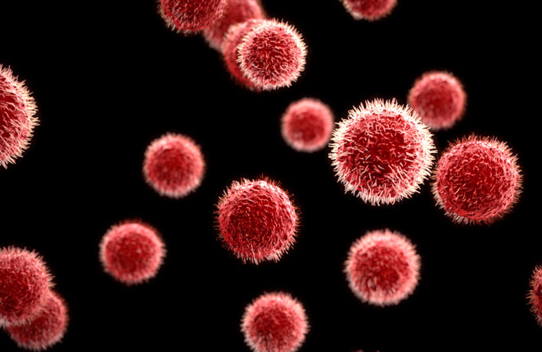 Germs are everywhere