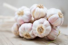 garlic bulbs