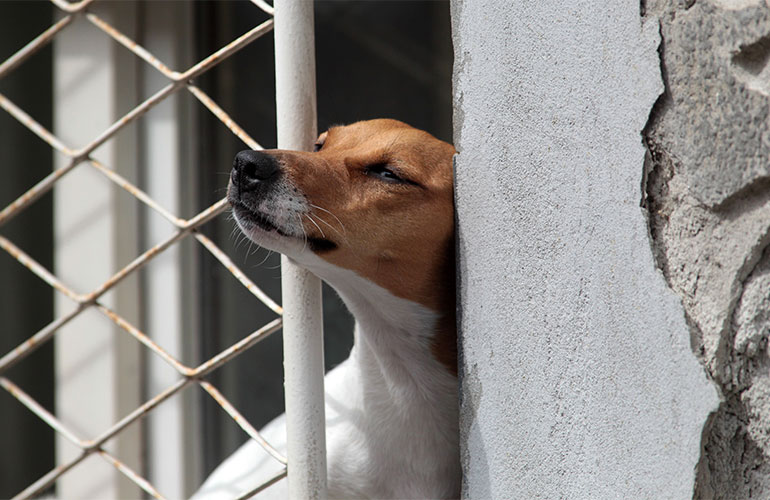 He can find the open door