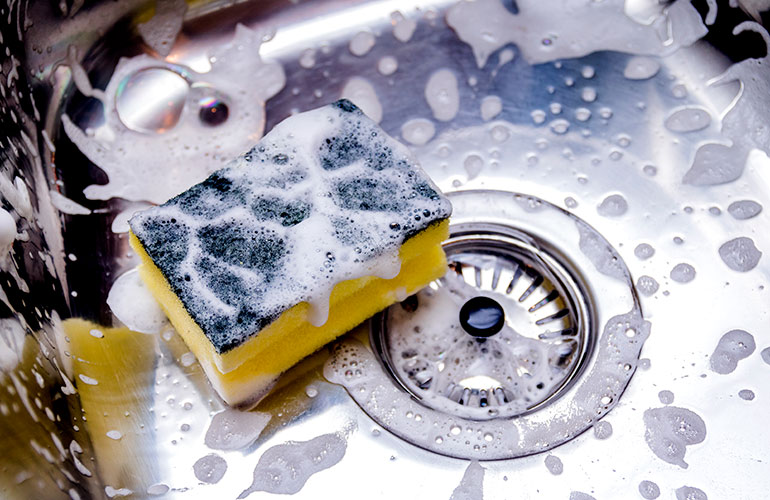 The kitchen sponge