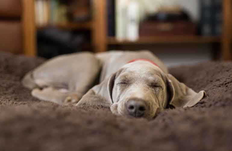 Sleeping