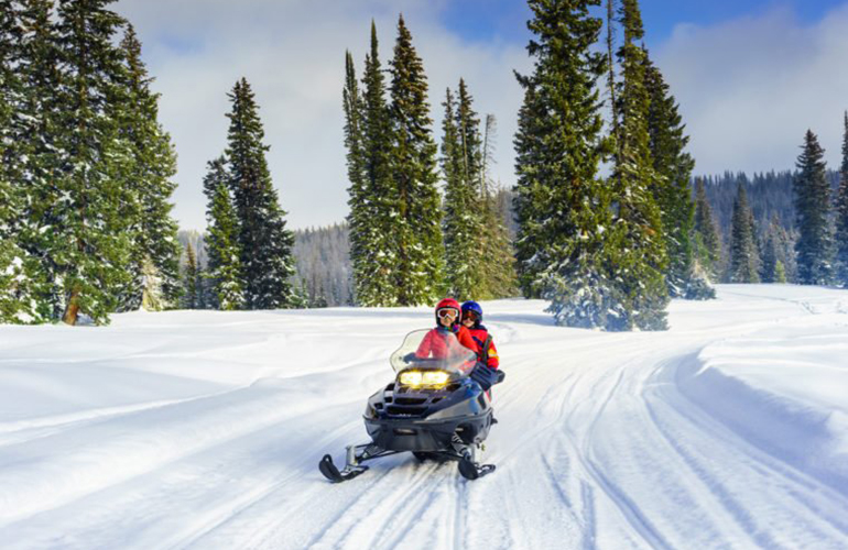 Snowmobiles