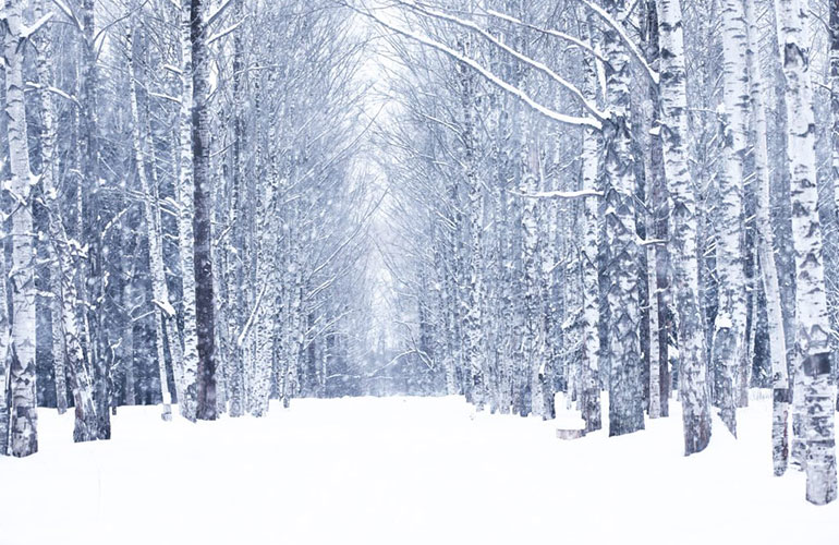 First snowfall