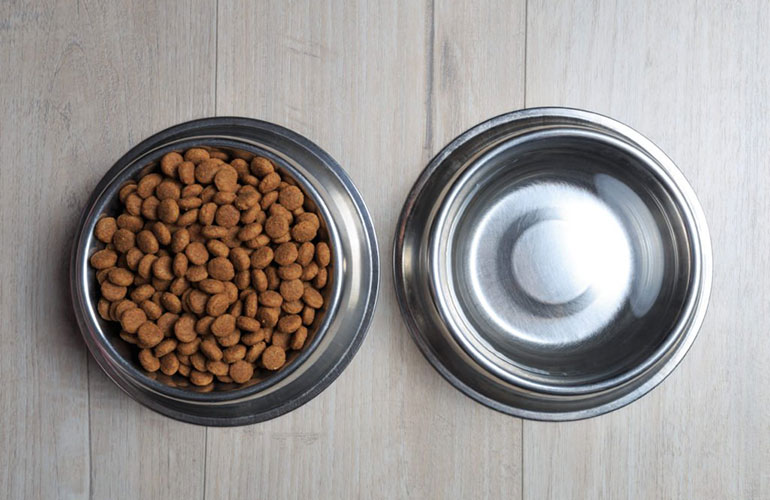 Pet water bowls