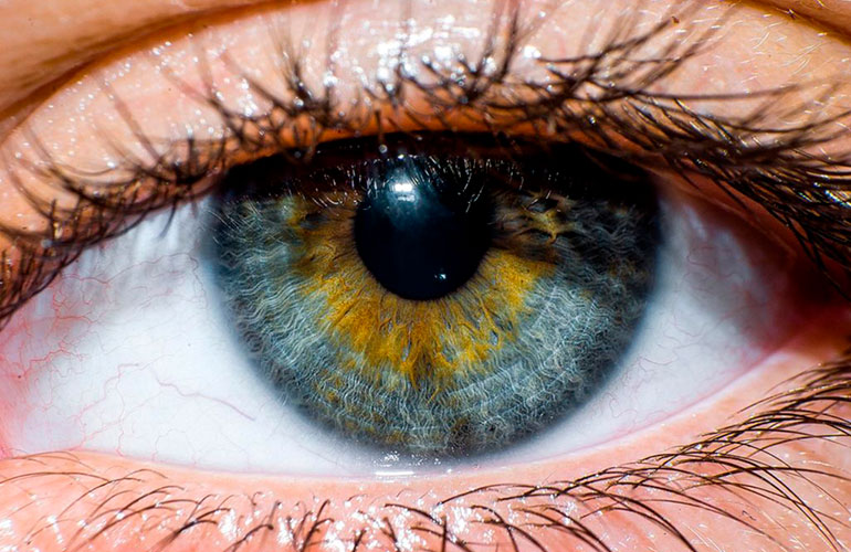 Know the warning signs of a detached retina