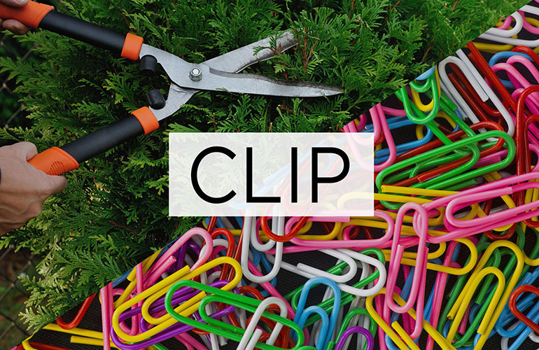Clip