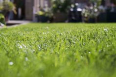 12 things you should never do to your lawn